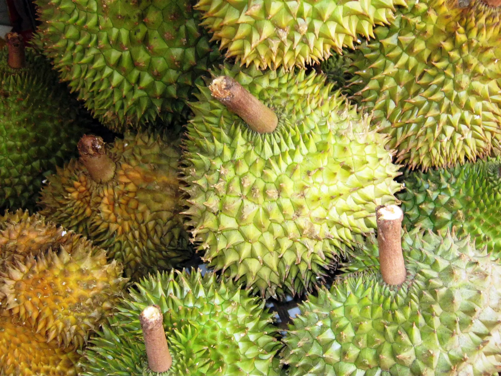 A pile of spiky durians at a Vietnamese fruit stall