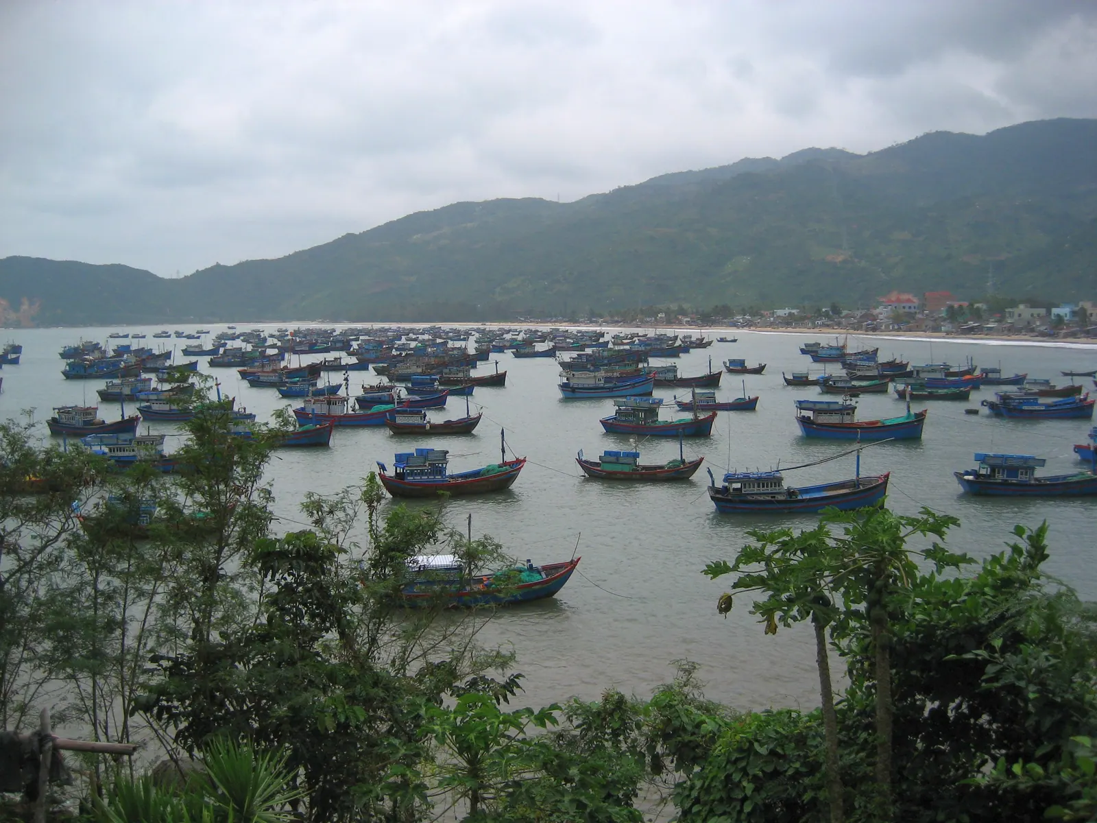 Fishing boats moored in a sheltered bay on the Van Ninh coast, the shore the Diep Son boats leave from